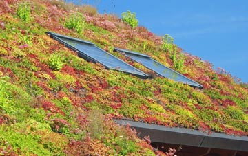 Puckeridge living roof systems
